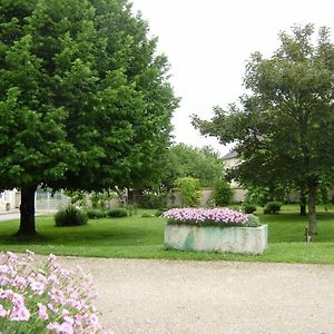 Villa Gite Viticole Avec Jardin Clos, Terrasse, Jeux Et Visites De Distillerie En Charente - Fr-1-653-30 Lignieres-Sonneville Exterior photo