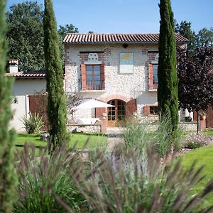 Villa Petit Coin De Paradis Albigeois Castelnau-de-Lévis Exterior photo