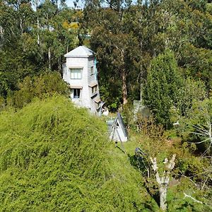 Villa Chil-Hue Sanctuary In Nature Ancud Exterior photo