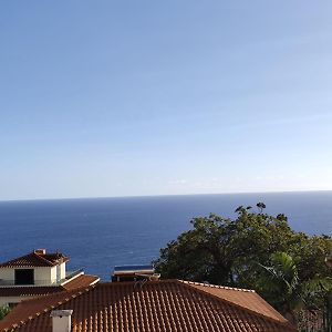 Hotel Sea House Funchal  Exterior photo