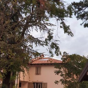 Coralupi B & B San Lazzaro di Savena Exterior photo