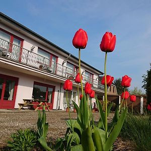 Aparthotel Boardinghouse Kappeln By Team Schleifee Exterior photo