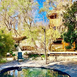 Villa La Casa Entre Los Arboles En El Valle De Elqui Montegrande Paihuano Exterior photo