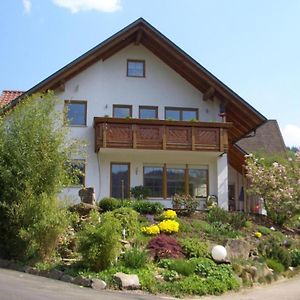 Wohnung Mit Terasse Im Schwarzwald Seebach Exterior photo