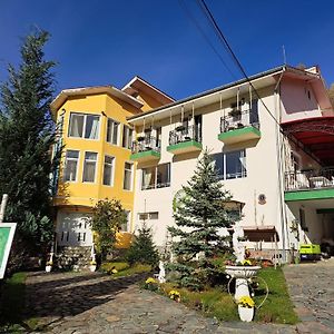 Hotel Pensiunea La Mesteceni -Zur Birke, Poiana Marului-Caras Severin Exterior photo