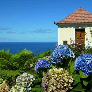 Villa Quinta Das Hortensias Arco de São Jorge Exterior photo