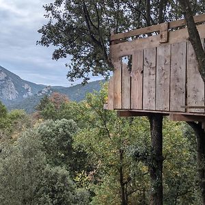 Villa Grande Maison Carpediem, Le Calme A La Campagne Cassaignes Exterior photo