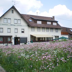 Bed and Breakfast Gasthaus Pflug Gemeinde Gemeinde Aichhalden Exterior photo