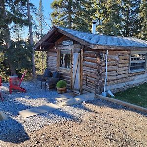 Motel 100 Year Old Log Cabin Waiporous Village Exterior photo