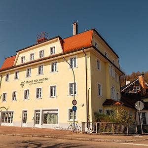 Aparthotel Die Sonne Nollingen Exterior photo