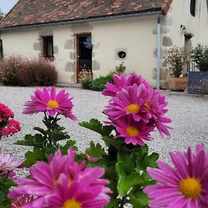 Villa Maison De Charme 18E Siecle Avec Jardin, Parking Et Modernite - Proche De Vichy Et Charroux - Fr-1-489-393 Taxat-Senat Exterior photo