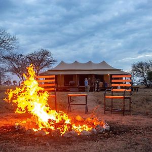 Hotel House Of Nature Serengeti-Savanne Exterior photo