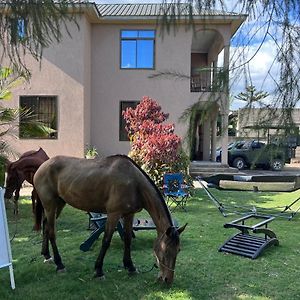 Bed and Breakfast Beyond Explorer Safaris Arusha Exterior photo