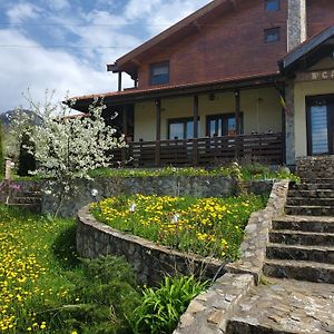 Hotel Pensiunea Carma Certeju de Sus Exterior photo