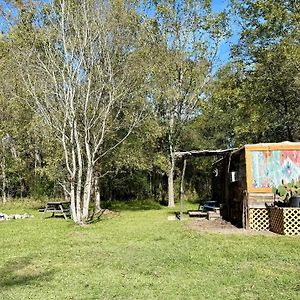 Villa Cabin 1 Remote Cabin Next To Sam Houston National Forest Huntsville Exterior photo