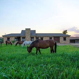 Bed and Breakfast Casa Ecuestre Carmen Martinez Fuente Palmera Exterior photo