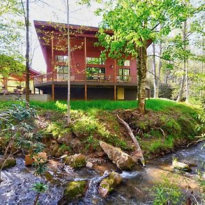 Villa Rushing Waters On Greens Creek Cabin Sylva Exterior photo