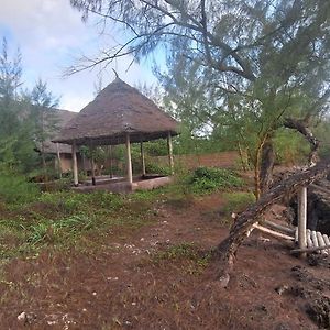 Villa Amerani Nyumba Pongwe Exterior photo