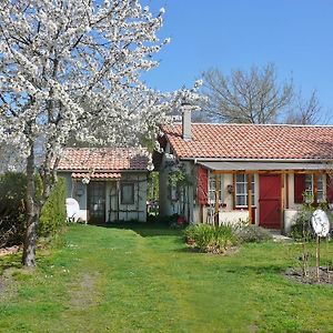 Guesthouse La Burle Parentis-en-Born Room photo