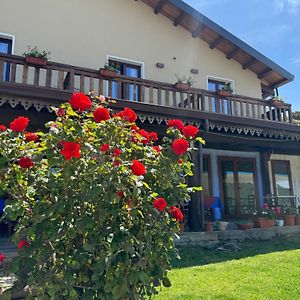 Bed and Breakfast Is Cubas Desulo Exterior photo