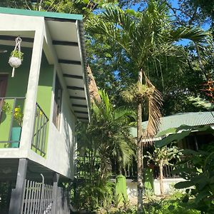 Bed and Breakfast Luxury Jungle On A Budget Wisdom Bnb Puerto Carrillo Exterior photo