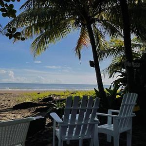 Hotel Wildjungle Tortuguero Exterior photo