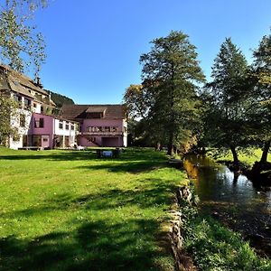 Logis Hotel Des Vosges Sewen Exterior photo