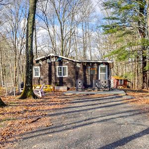 Villa Mtn Views And On-Site Hiking Trails Catskills Cabin Round Top Exterior photo