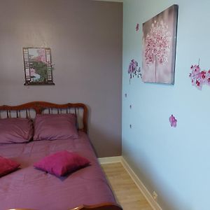 Bed and Breakfast Les Rossignols Saint-Martin-Sur-Ocre Exterior photo