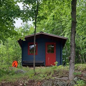 Villa Shelley'S Bay Bunkie #2 Sharbot Lake Exterior photo