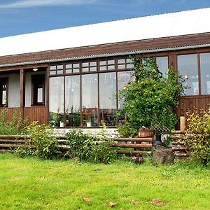 Bed and Breakfast Raven'S Bed Keflavík Exterior photo