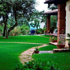 Bed and Breakfast Maratea Garden House Exterior photo