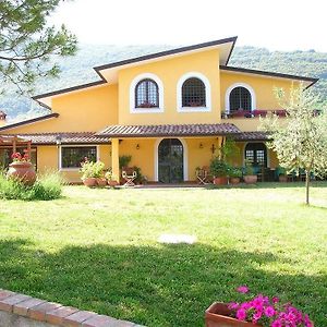 Hotel Azienda Agricola Il Bagolaro Nerola Exterior photo