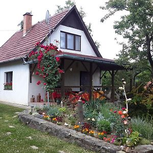 Villa Szarvasko Szeruskert Vendeghaz Exterior photo