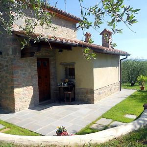 Gasthaus Selva Degli Ulivi Foiano Della Chiana Exterior photo