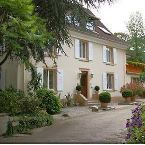 Hotel Landhaus Weilertal Badenweiler Exterior photo