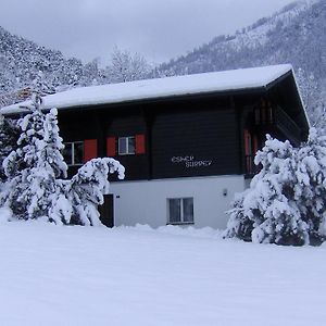 Ferienwohnung Chalet Esher Surrey Ried-Brig Room photo