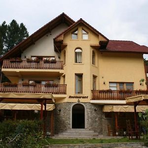 Hotel Vila Iulia Vatra Dornei Exterior photo