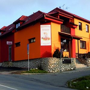 Hotel Penzion U Mikulincu Mikulov Exterior photo