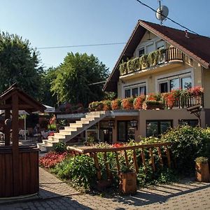 Bed and Breakfast Sarokhaz Panzio Vecsés Exterior photo