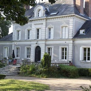 Bed and Breakfast Chateau De La Chaise Chissay-en-Touraine Exterior photo