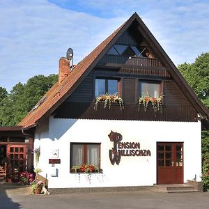 Hotel Pension Willischza Burg  Exterior photo