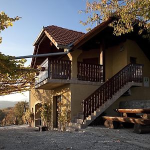 Vineyard Cottage Brodaric Metlika Exterior photo