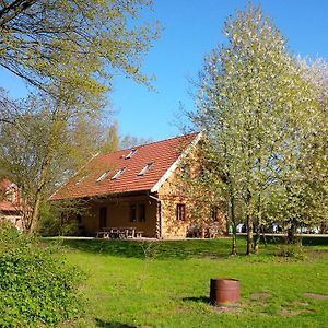 Ferienwohnung Ferienhof Idyll am kleinen Fließ Burg  Exterior photo