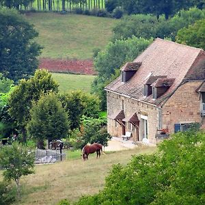 Bed and Breakfast Le Domaine Du Cerneau Nailhac Exterior photo