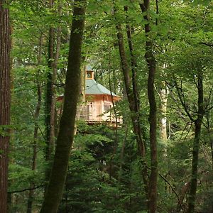 Bed and Breakfast Les Cabanes De Kermenguy Cléder Room photo