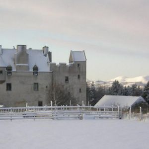 Bed and Breakfast Faside Estate Musselburgh Exterior photo