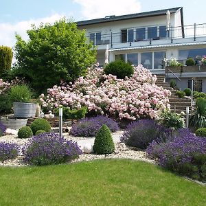 Hotel Weingut Bastian Kesten Exterior photo