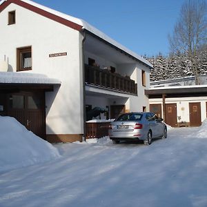 Ferienwohnung Haus Steinwaldblick Bernlohe  Exterior photo