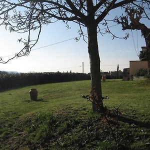 Gasthaus Agriturismo Le Caselle Cerbaia Room photo